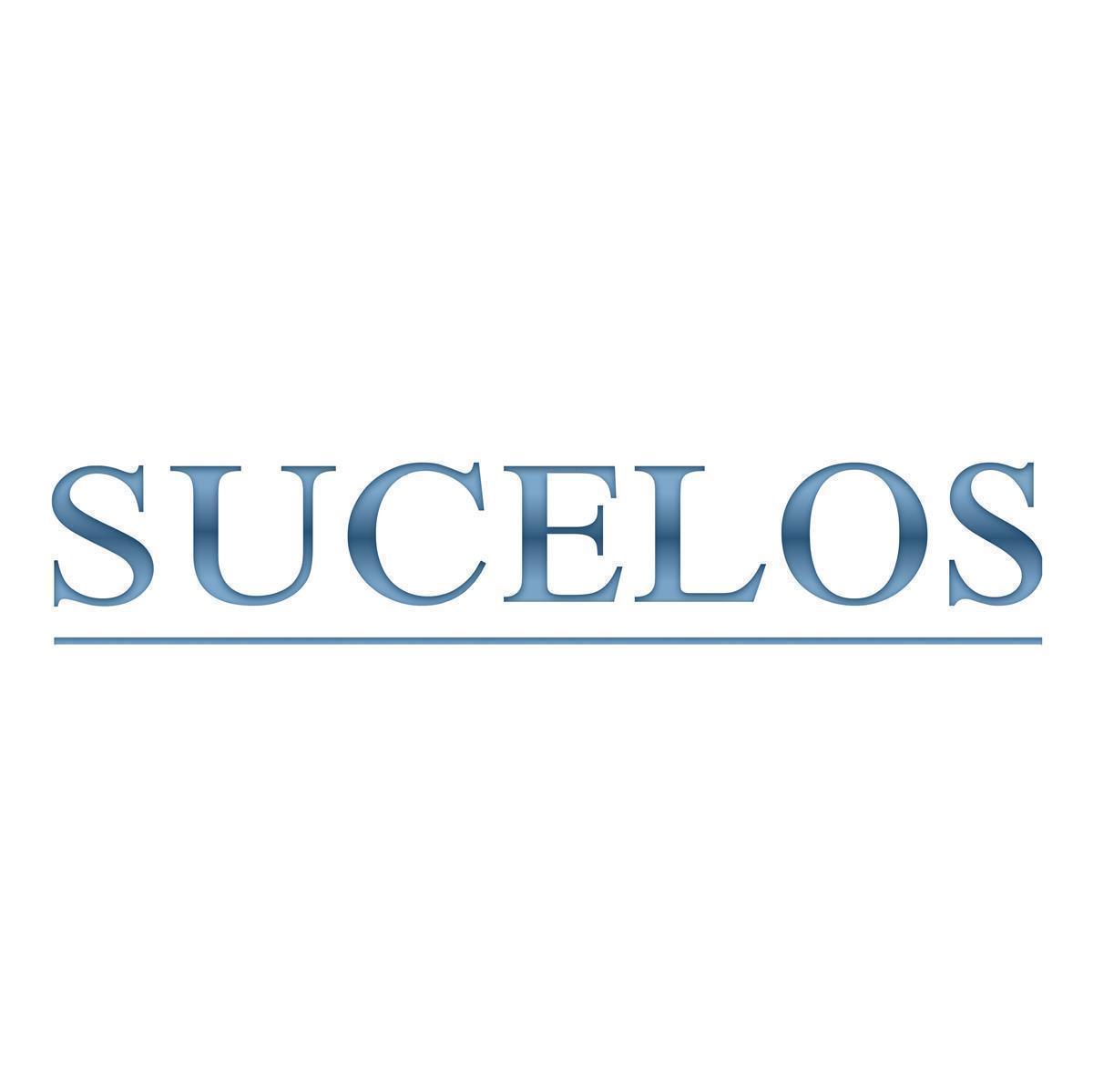 Sucelos Gefriergetrocknete Erdbeeren 6x 300g knusprige Erdbeerscheiben