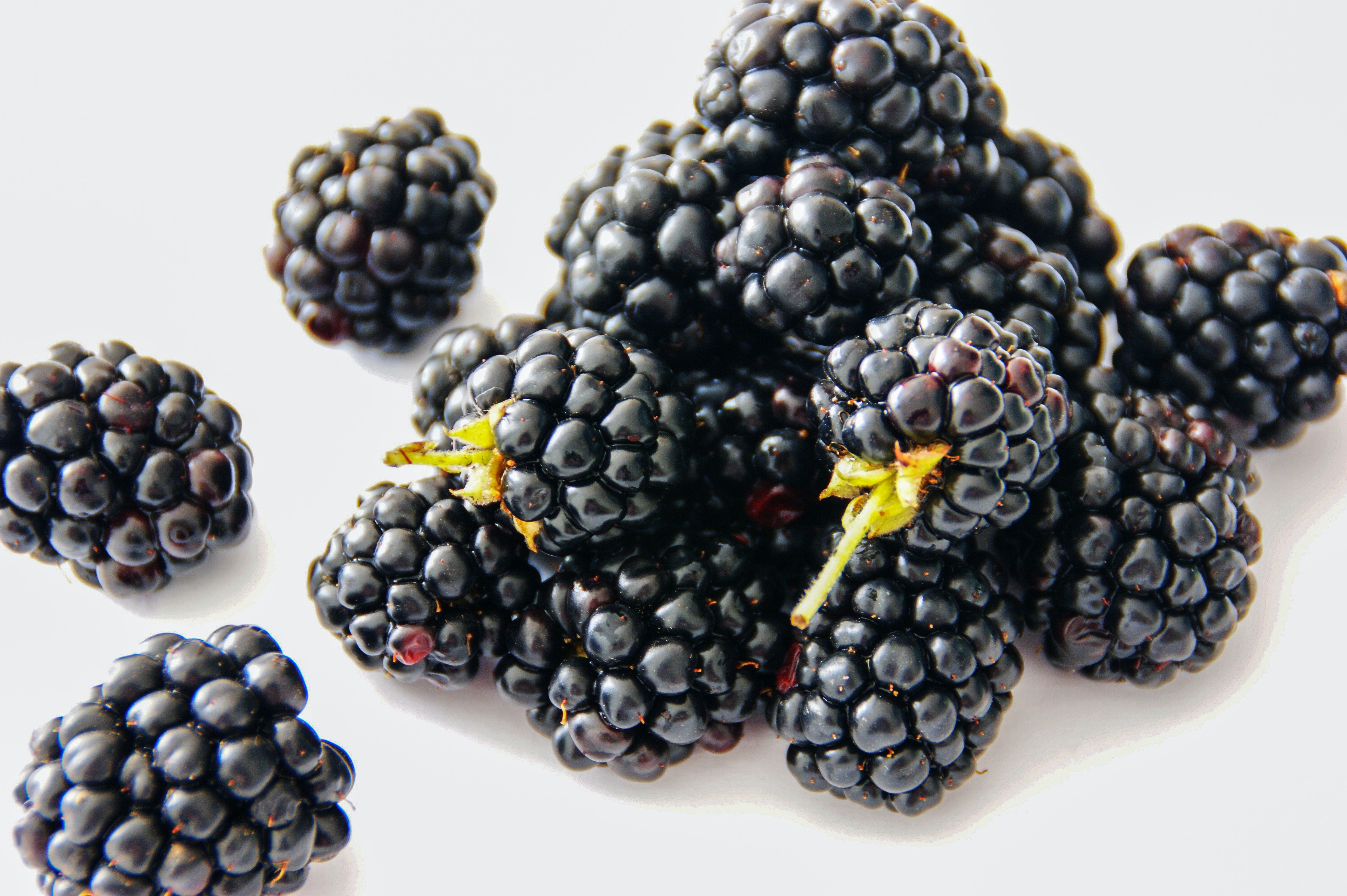 Ponthier BROMBEEREN PÜREE Frucht-Mark-Püree 6x 1 KG