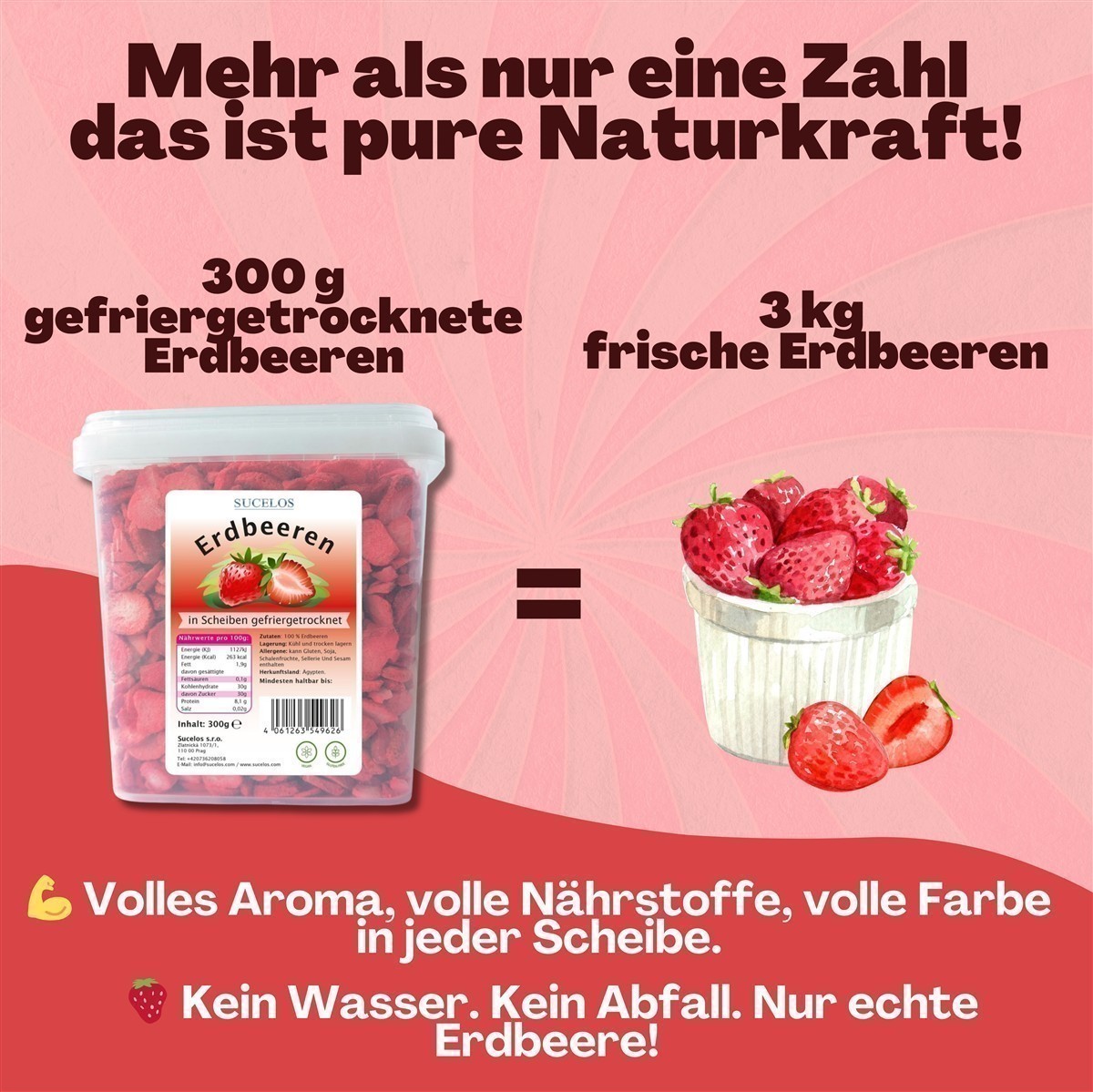 Sucelos Gefriergetrocknete Erdbeeren 1x 300g knusprige Erdbeerscheiben